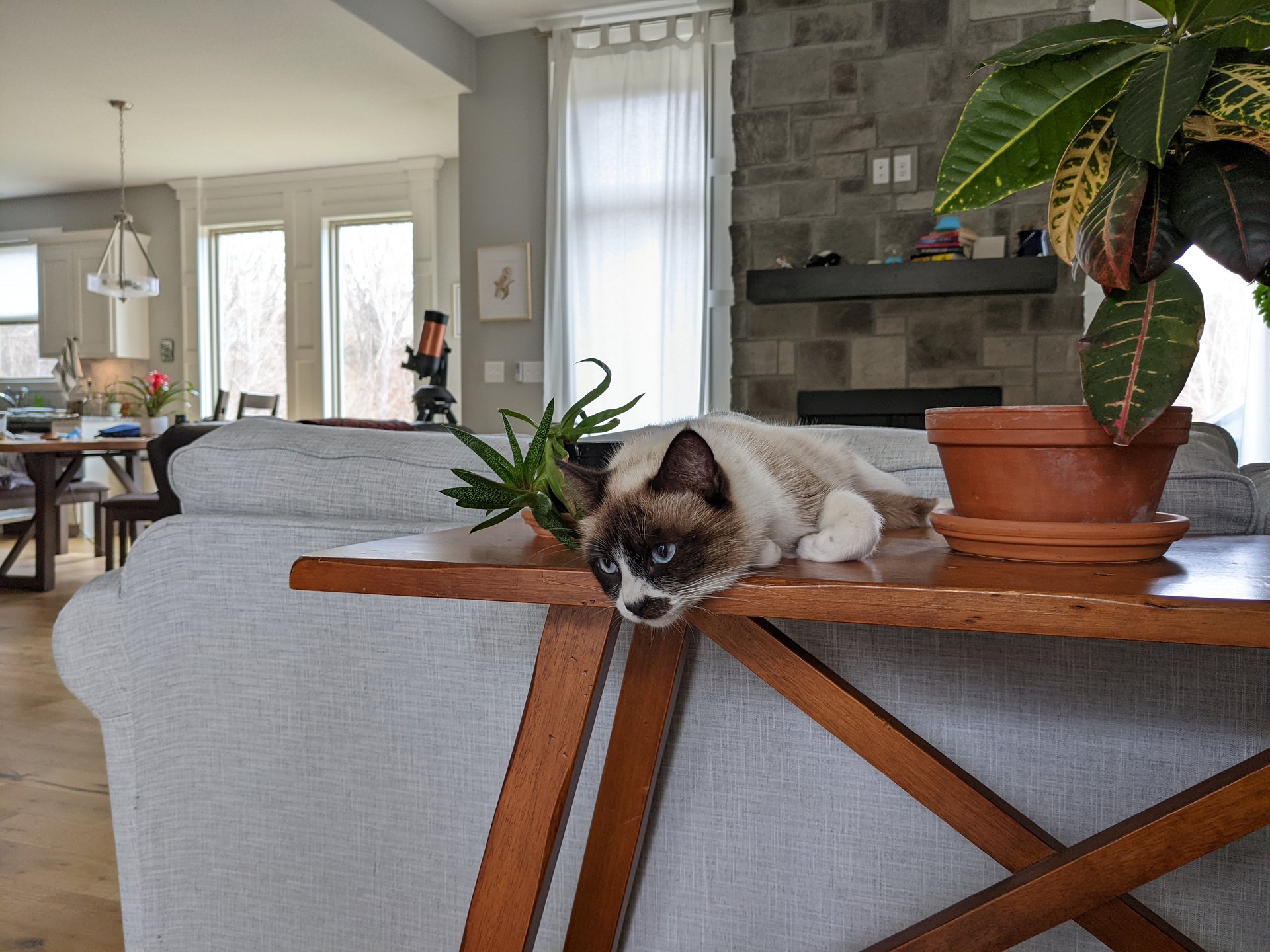 Jacob Hoover's Projects